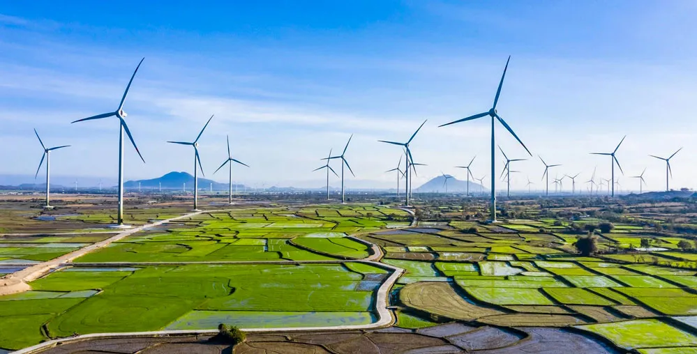Điện gió có nguy cơ 'bay theo gió' 