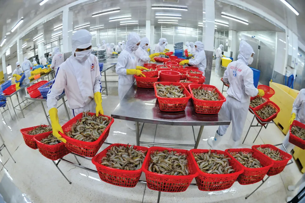 Nghịch lý 'rào cản nội' làm khó doanh nghiệp xuất khẩu 