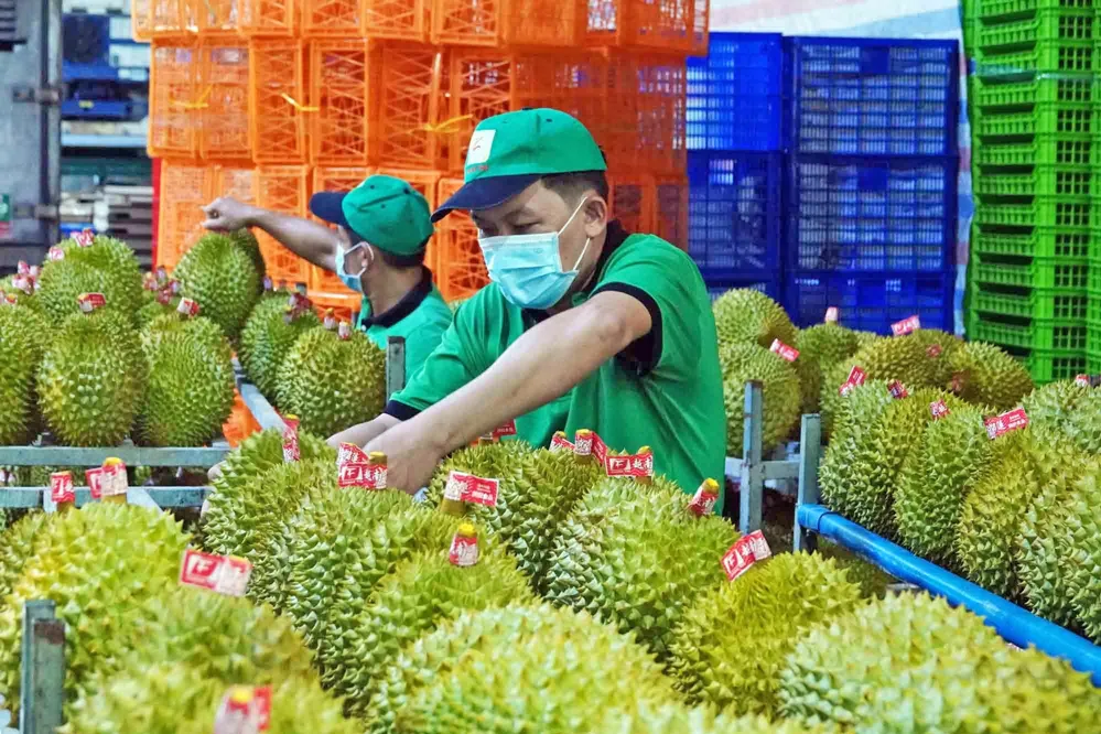 Xuất khẩu nông nghiệp vượt thách thức, chạm mục tiêu 