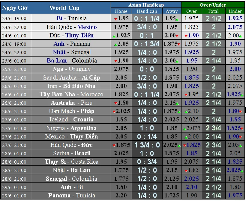 Bỉ - Tunisia: Quỷ đỏ tung hoành ảnh 3