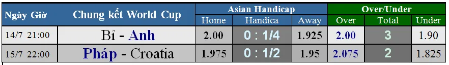 Lịch thi đấu World Cup 2018: Chung kết và tranh hạng 3 (Mới cập nhật) ảnh 10