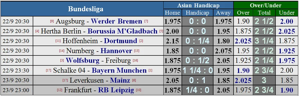 Lịch thi đấu giải Ngoại hạng Anh ngày 23-9 (Mới cập nhật) ảnh 12