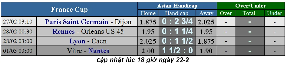 Lịch thi đấu bóng đá Chung kết cúp Liên đoàn Anh ngày 24-2 (Mới cập nhật) ảnh 8