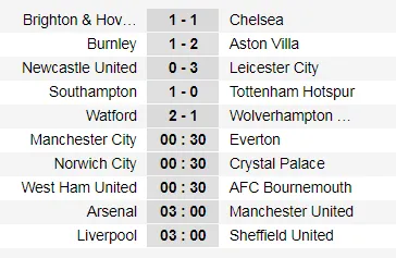 Đè bẹp Newcastle, Leicester vững ngôi nhì bảng ảnh 4
