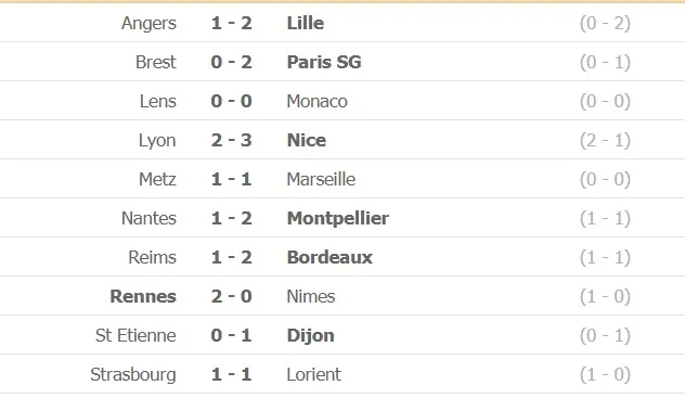 Lille vô địch Ligue 1 sau 10 năm ảnh 1