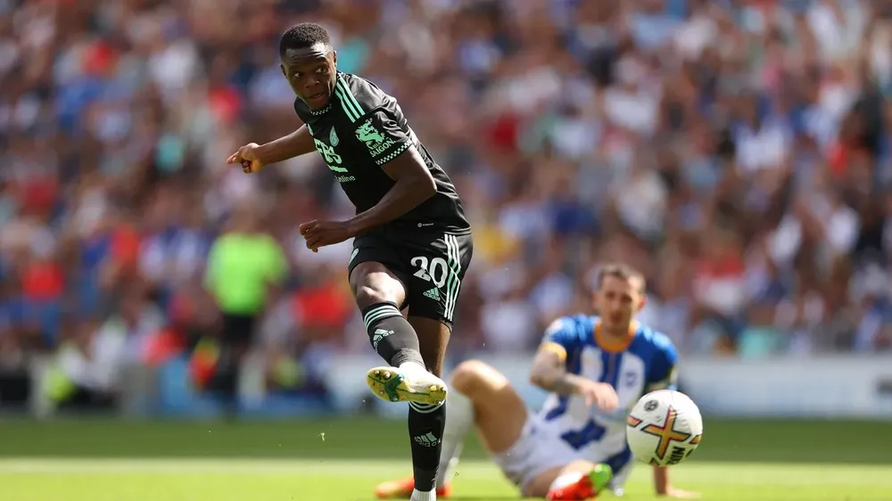 Brighton đè bẹp Leicester trong cơn mưa bàn thắng ở hiệp 2 ảnh 2