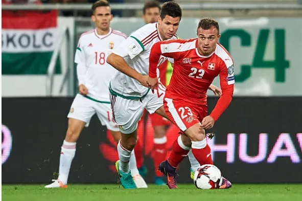 2 hungary thuy si ZSDG.jpg