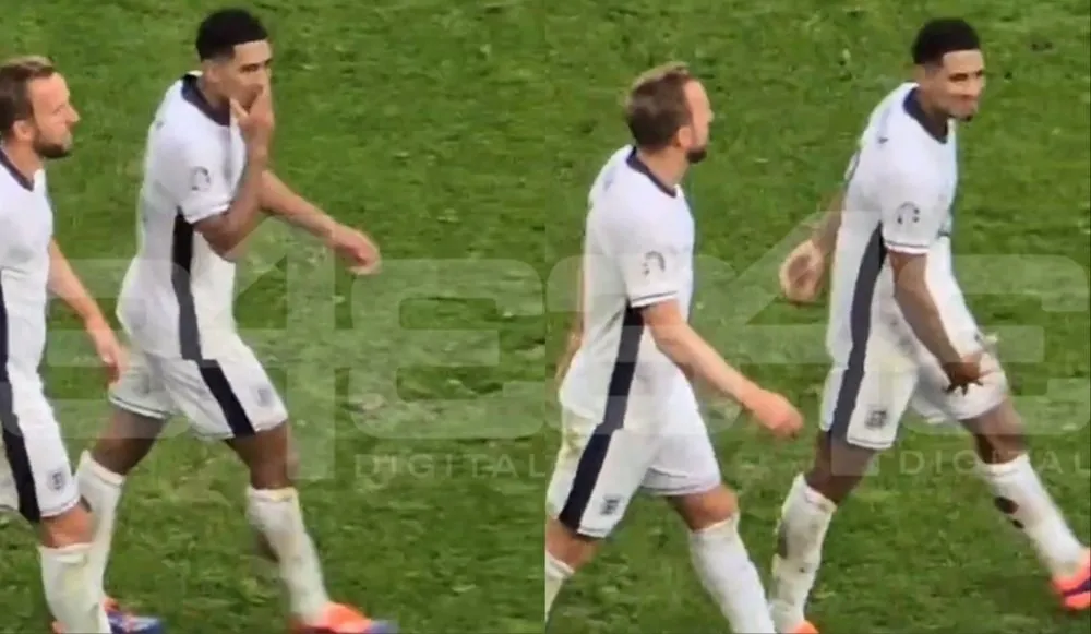 1 BELOINGHAM 22 fdnh fd.jpg