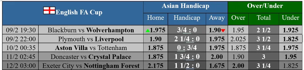 1 aancelotti cgfjm.jpg