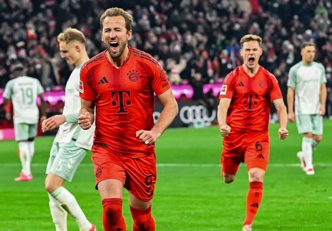 Harry Kane và Kimmick ăn mừng chiến thắng