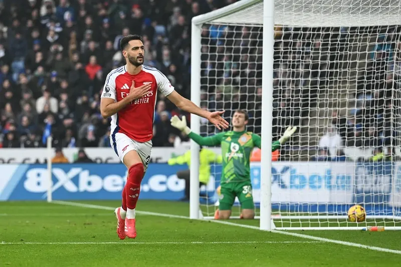 0-1 merino sfhzdrfgjd.jpg