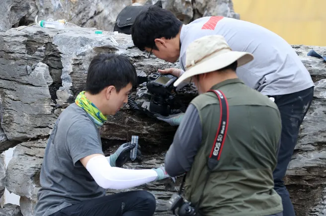 Ổ kiến này được phát hiện ngày 18-9 trong những tảng đá cảnh quan được nhập từ Trung Quốc. Ảnh: Yonhap