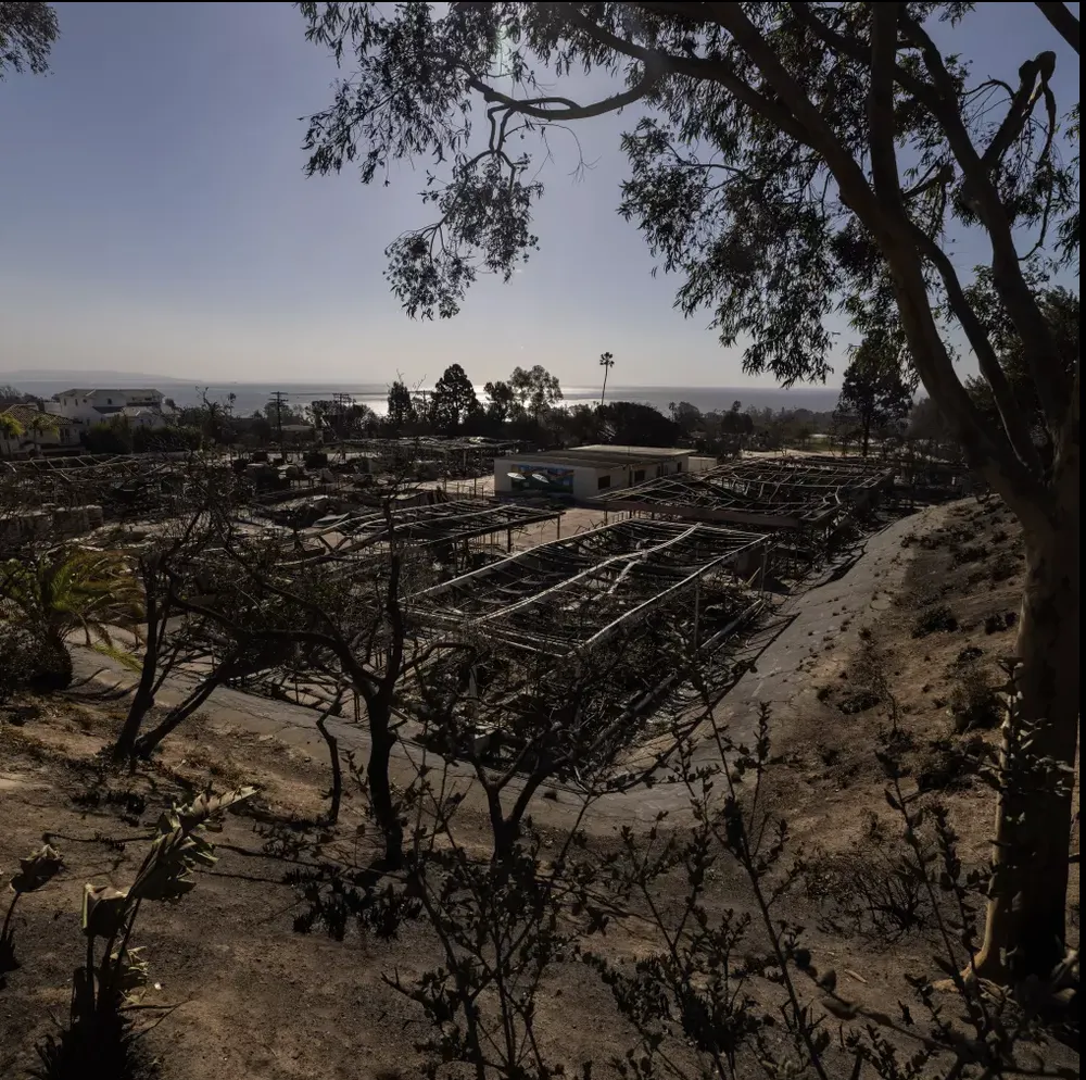 Screenshot 2025-01-14 at 11.34.21.png