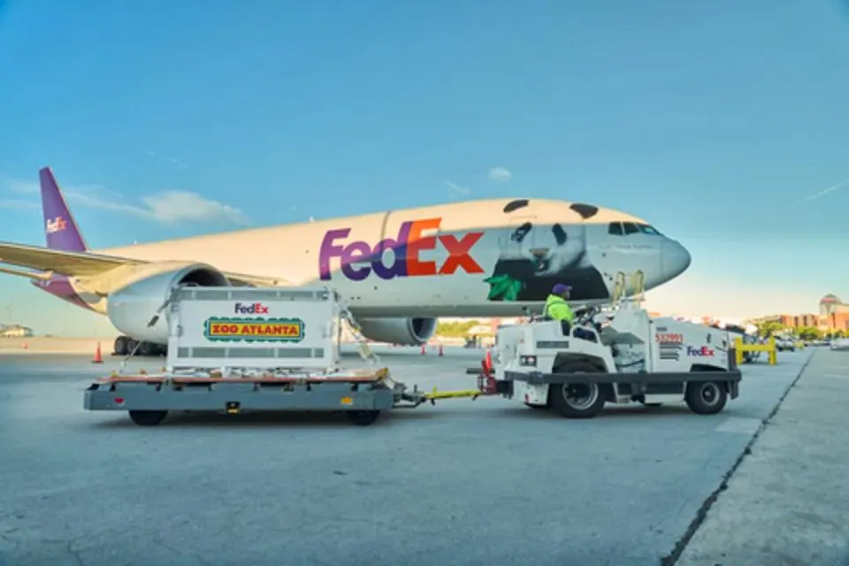 Hai chú gấu trúc được vận chuyển trên chiếc máy bay Boeing 777-F của FedEx, được gọi là "FedEx Panda Express". Ảnh do FedEx cung cấp
