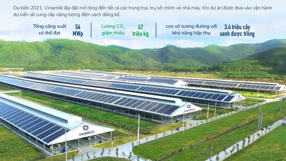 Phát triển bền vững sẽ là “vaccine” của doanh nghiệp giữa bão Covid-19 ảnh 1