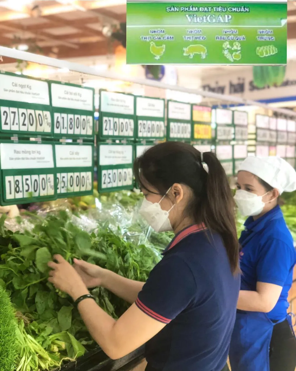 Hệ thống siêu thị Co.opmart cả nước nói không với rau củ VietGAP “dỏm” ảnh 1