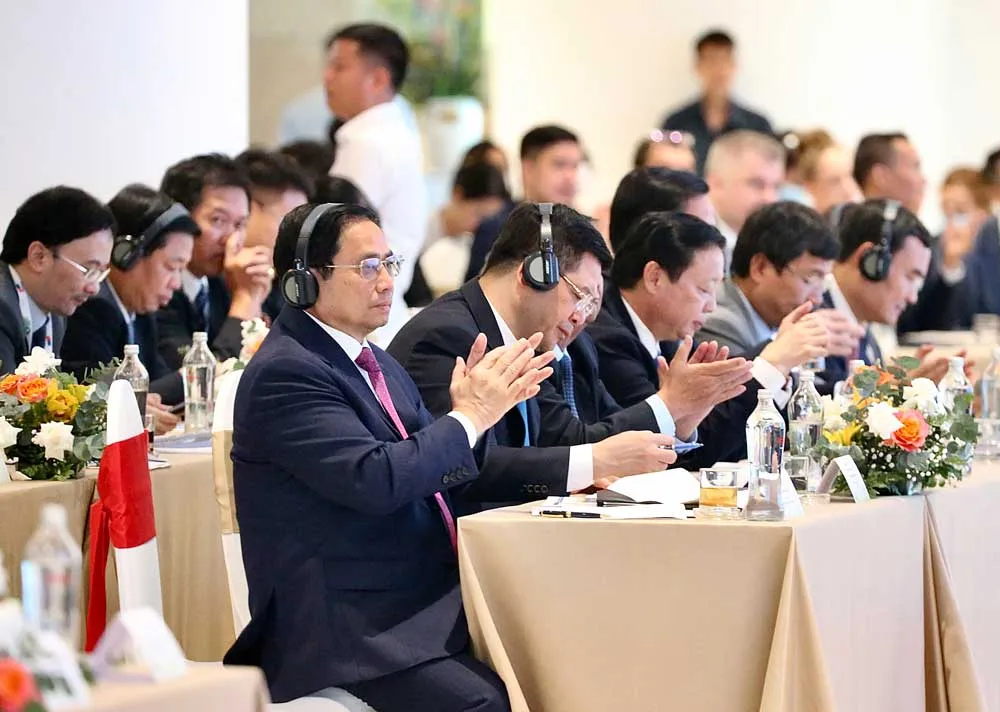 Thúc đẩy hợp tác phát triển bền vững châu Âu - Việt Nam ảnh 1