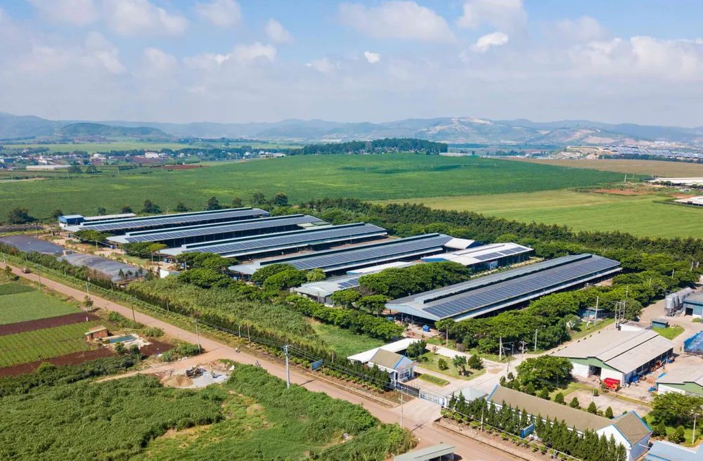 Hệ thống năng lượng mặt trời được lắp đặt giúp tiết kiệm điện năng hiệu quả Trang trại bò sữa Vinamilk Organic Đà Lạt