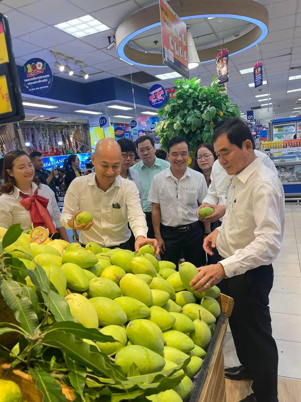 Sản phẩm xoài của tỉnh Đồng Tháp đang bày bán tại siêu thị Coopmart Lý Thường Kiệt, quận 5, TPHCM