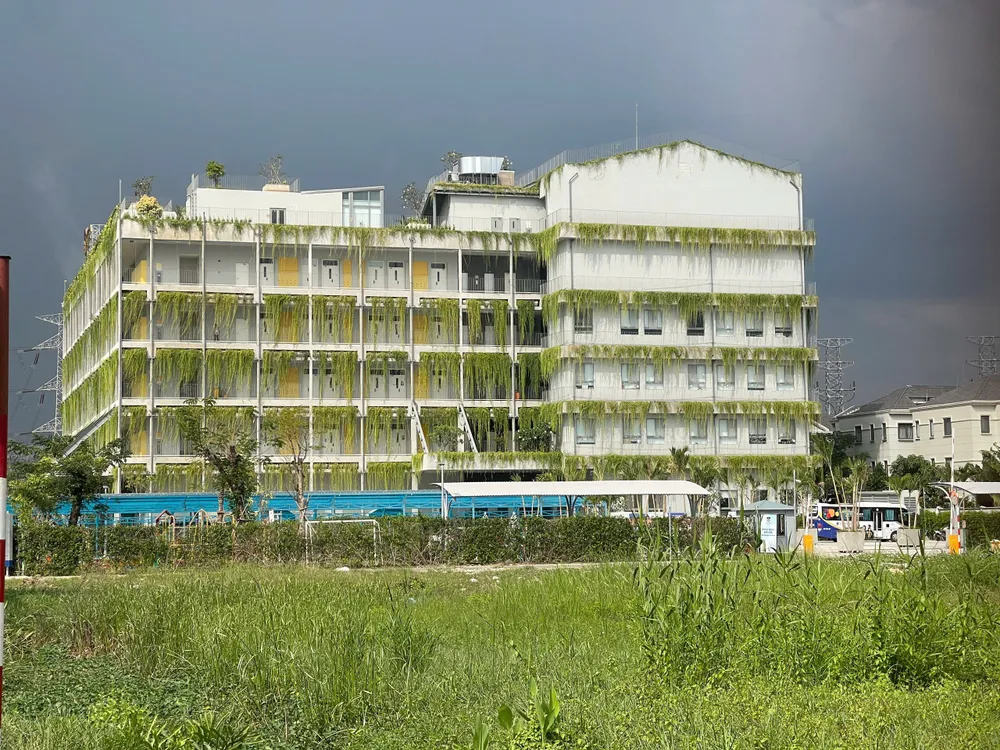 Trường Victoria Nam Sài Gòn được phủ xanh hoàn toàn. Ảnh Hoàng Hùng