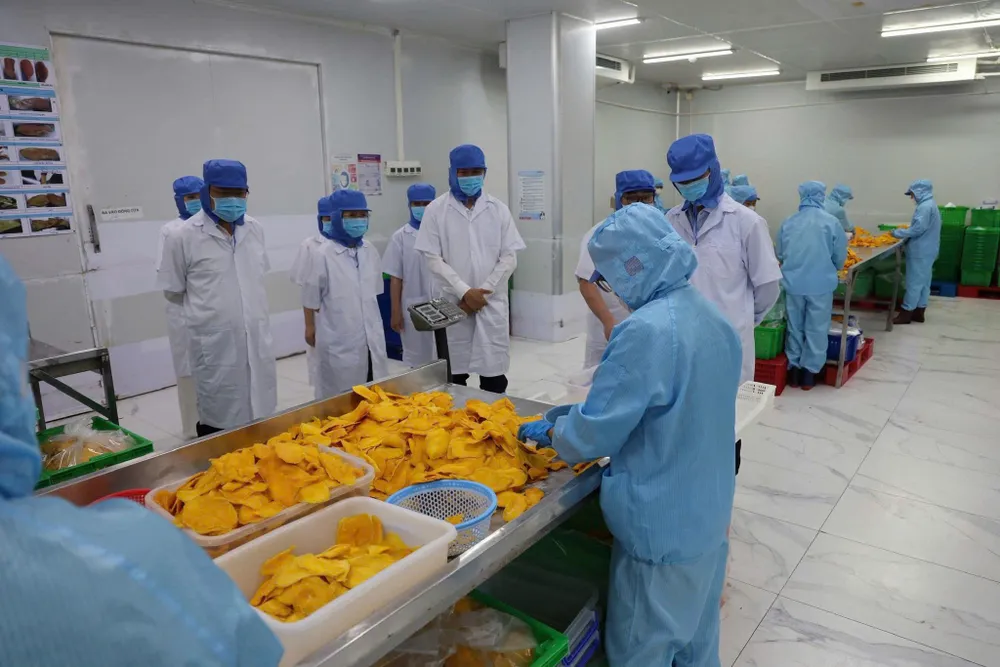 Công ty TNHH TM Chế biến Nông sản Thực phẩm Tuấn Đạt, TPHCM. Ảnh MINH XUÂN