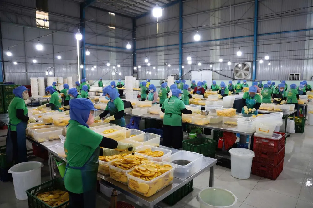 Công ty TNHH TM chế biến nông sản thực phẩm Tuấn Đạt 2.jpg