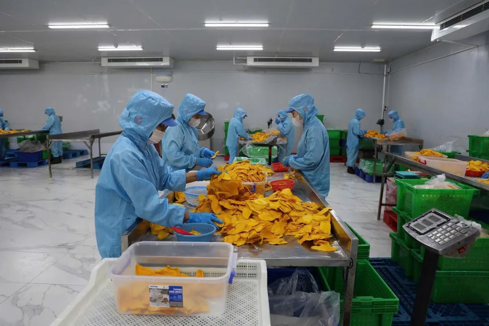 Nhiều công nhân đang làm việc tại các Khu chế xuất, khu công nghiệp, Khu công nghệ cao TPHCM có nhu cầu về chỗ ở. Ảnh HOÀNG HÙNG