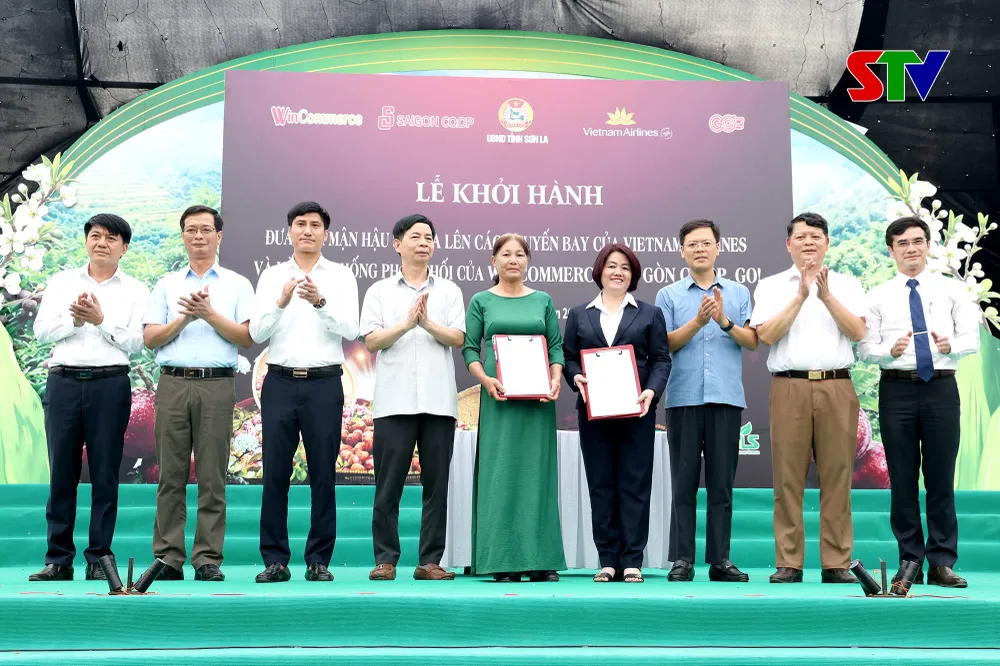 ĐẠI DIỆN SAIGON CO.OP VÀ HỢP TÁC XÃ KIÊN CƯỜNG THỰC HIỆN KÝ KẾT CAM KẾT TIÊU THỤ MẬN HẬU DƯỚI SỰ CHỨNG KIẾN CỦA CHÍNH QUYỀN ĐỊA PHƯƠNG XÃ PHIÊN KHOÀI - TỈNH SƠN LA.JPG