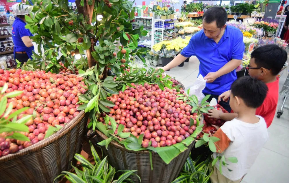 KHÁCH HÀNG ĐẾN CO.OPMART CHỌN MUA MẬN HẬU TƯƠI NGON CHẤT LƯỢNG.jpg