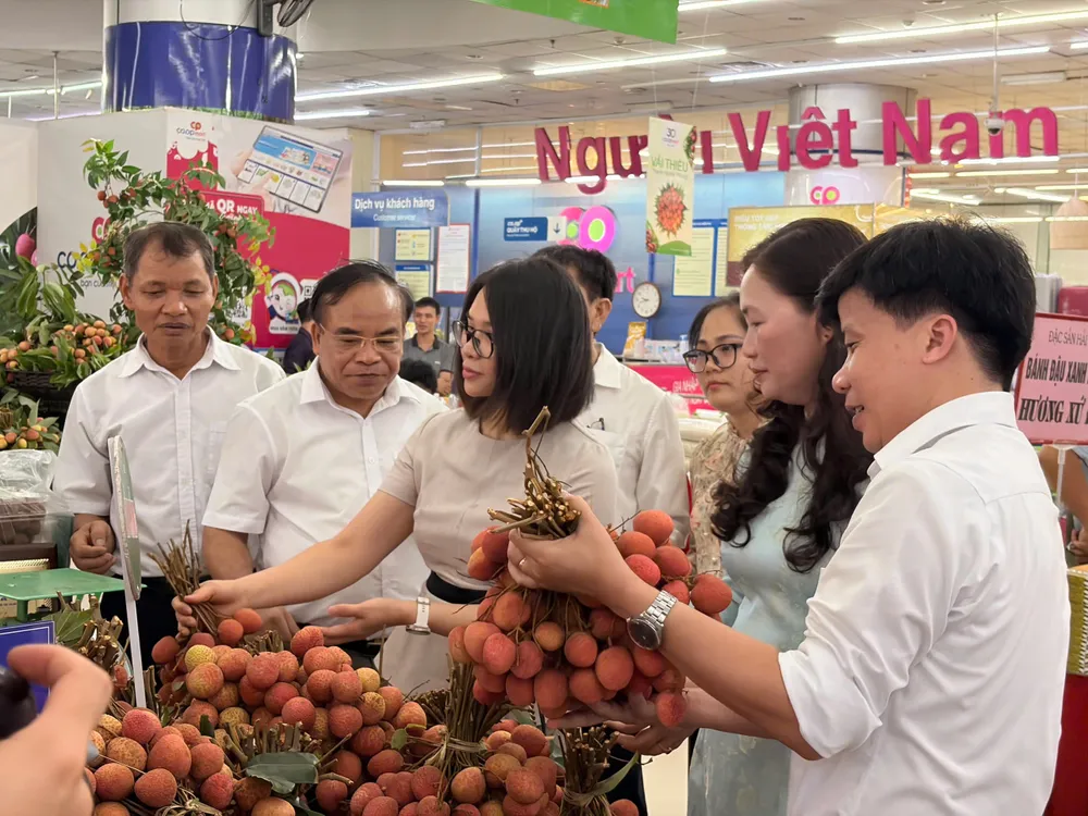 Vải Thanh Hà được trưng bày nổi bật tại hệ thống Co.opmart với chương trình ưu đãi giảm giá đến 20_..jpg
