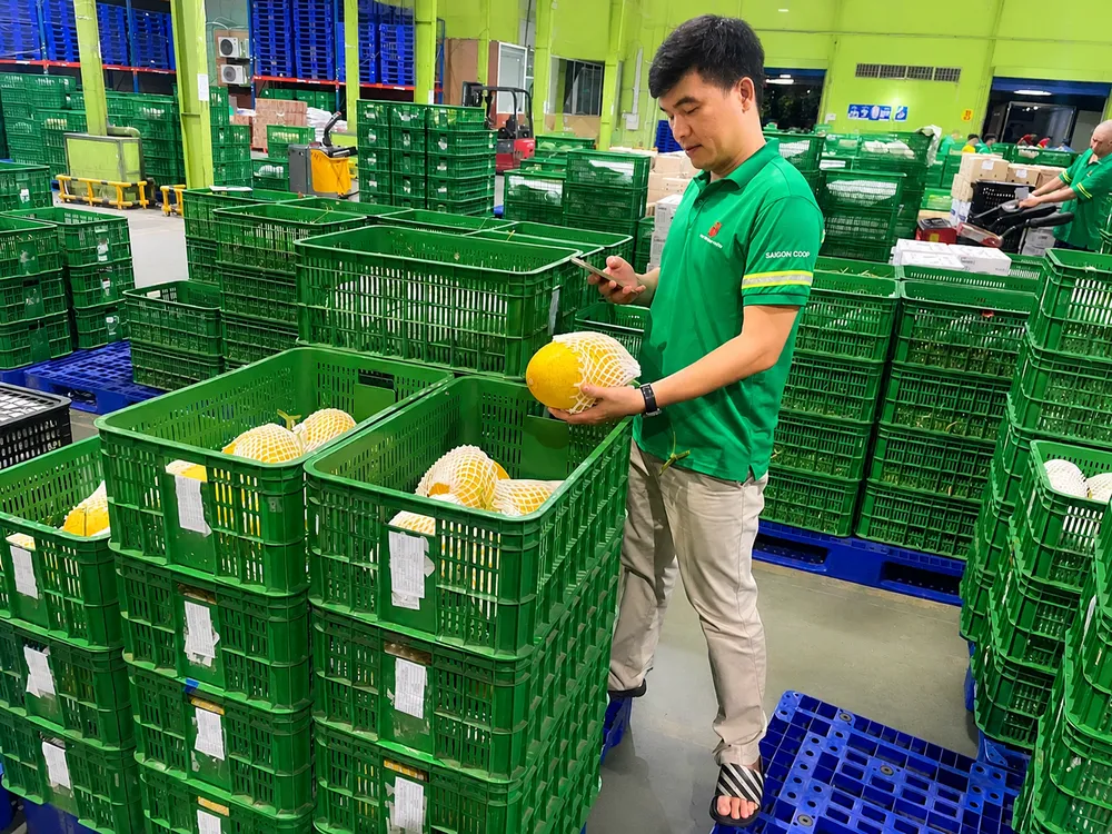 Saigon coop 3.jpg
