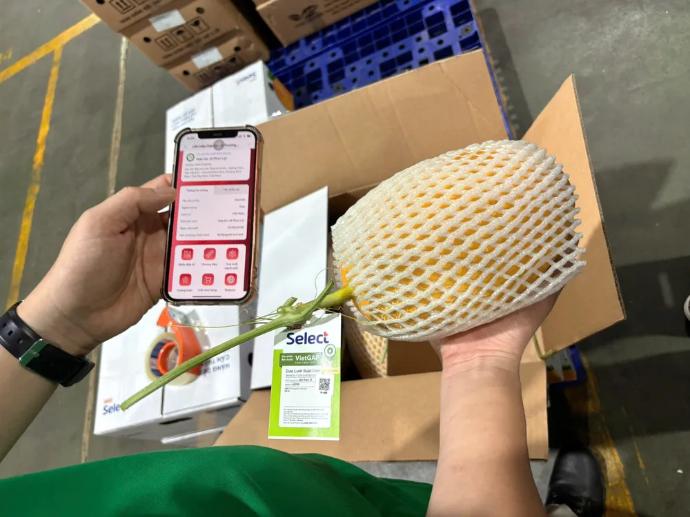 Người tiêu dùng có thể quét mã QR để tiếp cận thông tin truy xuất nguồn gốc sản phẩm. ẢNH MINH XUÂN