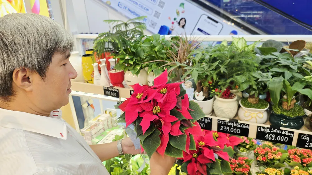 CÁC CHẬU HOA GÓI CÁC LOẠI CỦA ĐÀ lẠT HASFARM TẠI HỆ THỐNG CO.OPMART ĐA DẠNG VỚI GIÁ CẢ HỢP LÝ ĐỂ KHÁCH HÀNG LỰA CHỌN LÀM QUÀ NGÀY 20-10.jpg