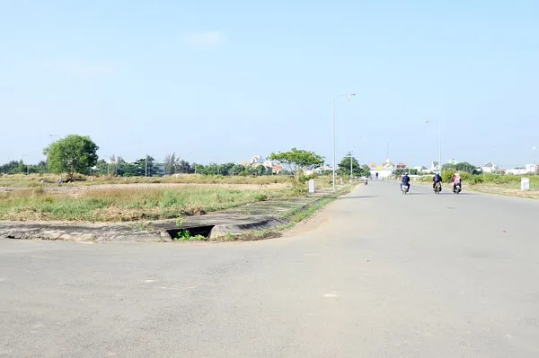 Ảnh minh họa: Long Thanh