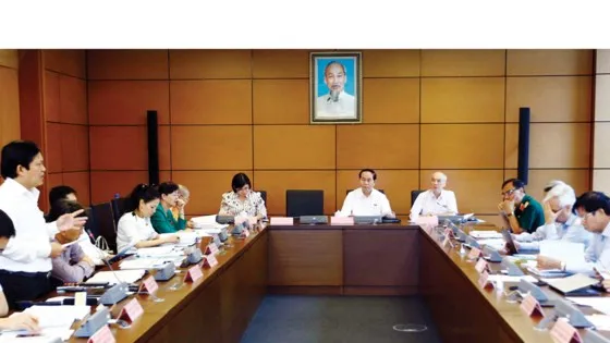 Đoàn đại biểu Quốc hội TPHCM thảo luận tại tổ