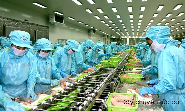 Khung cảnh nhộn nhịp của hàng ngàn công nhân trong nhà máy đang miệt mài thi đua sản xuất 