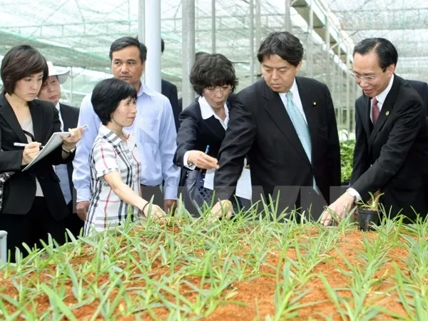 Ngại rủi ro khi cho vay đầu tư nông nghiệp công nghệ cao