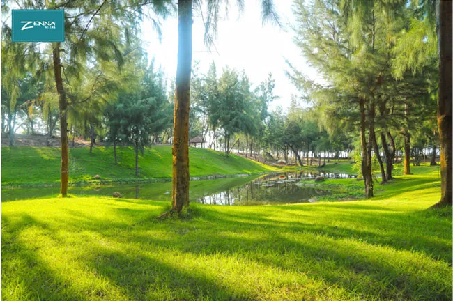 Về Long Hải sống “mộc” kiểu thượng lưu ảnh 2