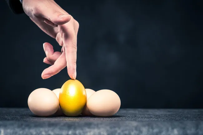 Bạn “đánh cược” đến đâu với khoản đầu tư của mình? ảnh 2