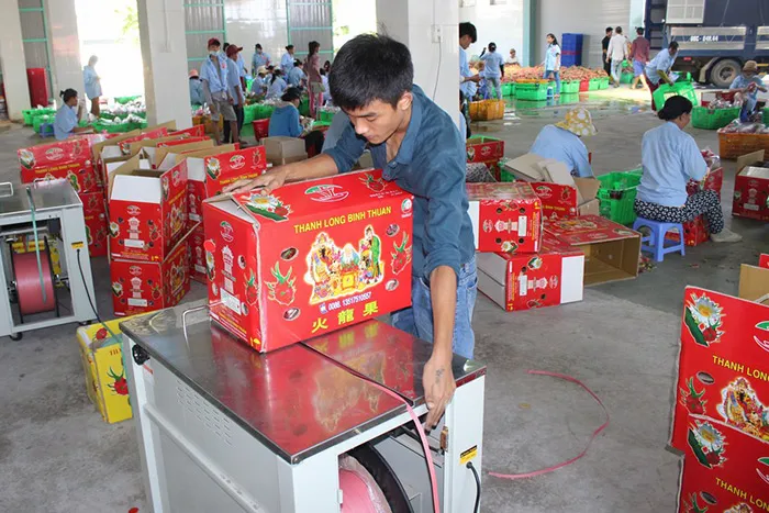 Người tiêu dùng Hàn Quốc thích một số trái cây của Việt Nam như thanh long, xoài, chuối.