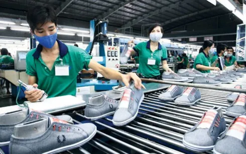 DNNVV cần nâng cao tín nhiệm để dễ vay vốn