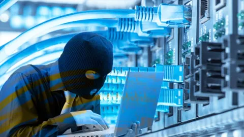 Hơn 4.600 trang, cổng thông tin điện tử bị tin tặc tấn công