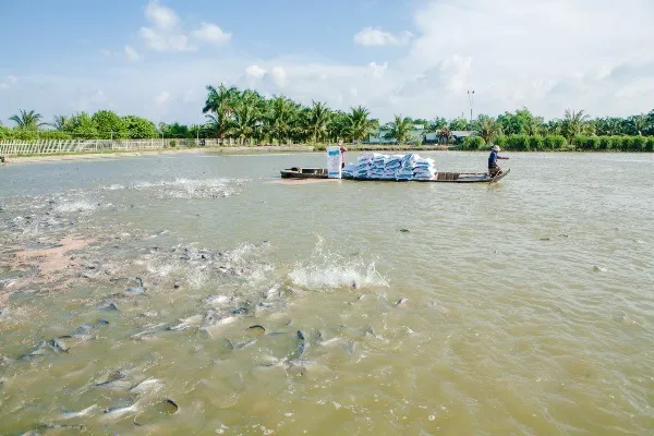 Đến 2020, giá trị xuất khẩu thủy sản đạt 8-9 tỷ USD