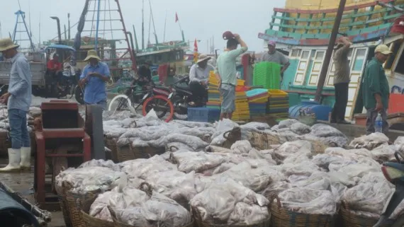 Ngư dân vận chuyển cá từ tàu lên bờ ở cảng Phước Tỉnh