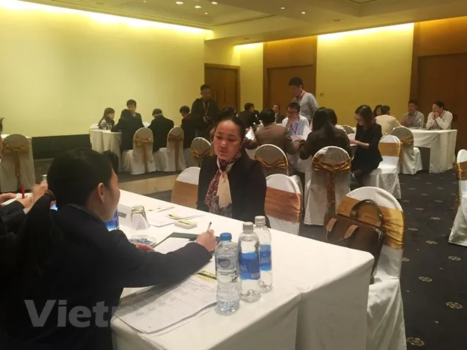 Các doanh nghiệp nhỏ và vừa Nhật Bản xúc tiến đầu tư tại Việt Nam. (Ảnh: Vietnam+)