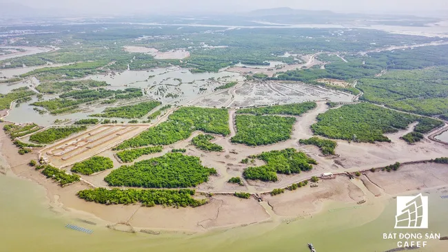 Chấm dứt hoạt động dự án cảng tổng hợp và container Cái Mép Hạ