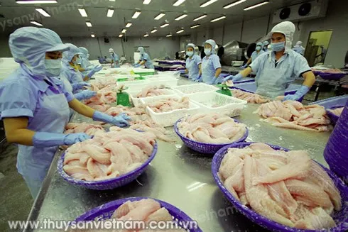 Thủy sản là một trong những nhóm hàng đóng góp tích cực vào sự tăng trưởng xuất khẩu của cả nước. (Ảnh: KT)