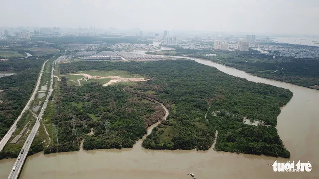 Khu đất 30ha của Công ty Tân Thuận bán cho Công ty Quốc Cường Gia Lai ở xã Phước Kiển, huyện Nhà Bè, TP.HCM - ẢNH: QUANG ĐỊNH