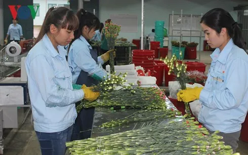 Doanh nghiệp FDI được ưu đãi nhiều hơn so với doanh nghiệp trong nước. (Ảnh minh họa: KT)