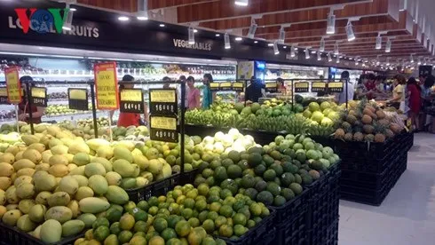 Hoa quả xuất khẩu của Việt Nam xuất hiện ngày càng nhiều tại các thị trường khó tính.